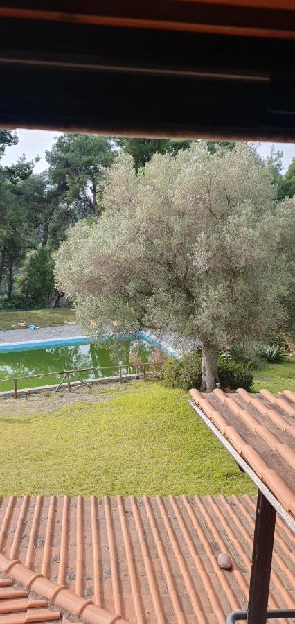 Nikol Villa Elani Σίβηρη Εξωτερικό φωτογραφία